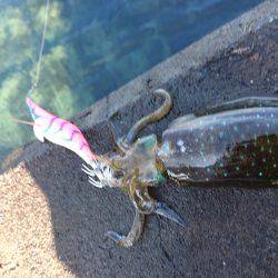 大会余波の混雑