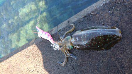 大会余波の混雑