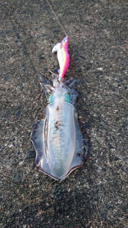 大うねりに苦戦