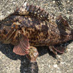 場所が変われば…。