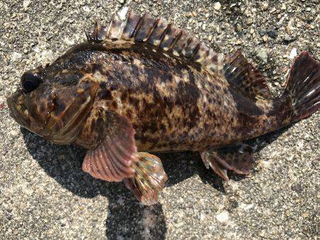 場所が変われば…。