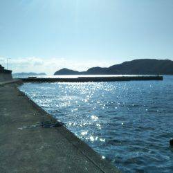 阿南市の椿泊でタチウオと小アジ