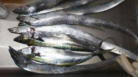 ついにサゴ氏が