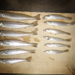 キス不調は続く・・・