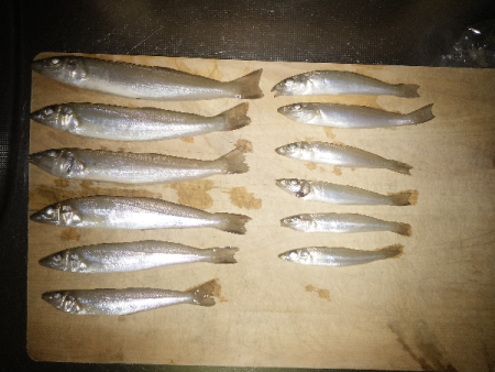 キス不調は続く・・・