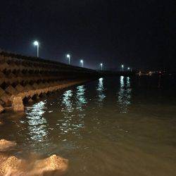 仕事帰りにエギング