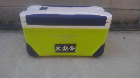 子供とシーバス祭り