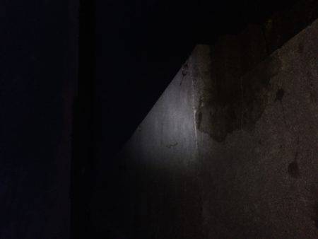 久しぶりの釣行