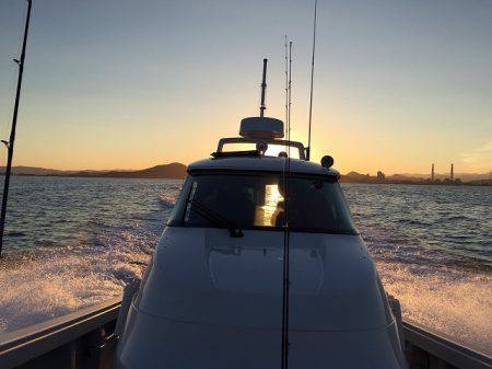 フィッシングボートACE(エース) 釣果