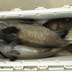 モンロー号 釣果