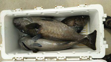 モンロー号 釣果