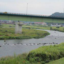 狩野川(狩野川漁業協同組合) 釣果