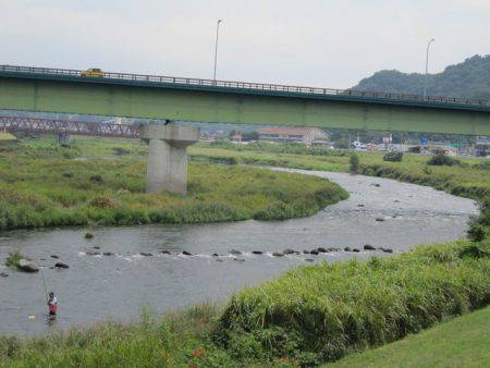 狩野川(狩野川漁業協同組合) 釣果