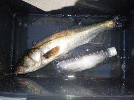 オリジナルメーカー海づり公園(市原市海づり…