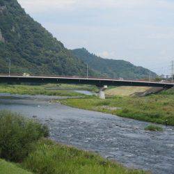 狩野川(狩野川漁業協同組合) 釣果