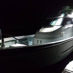 フィッシングボートACE(エース) 釣果