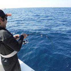 BlueNote Fishing Taxi 釣果