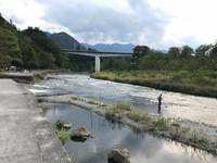 秩父フライフィールド 釣果