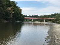 秩父フライフィールド 釣果