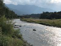 秩父フライフィールド 釣果