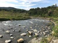 秩父フライフィールド 釣果