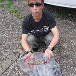 あみや渡船 釣果