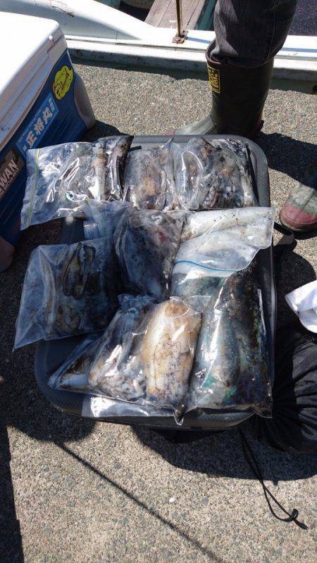 あみや渡船 釣果