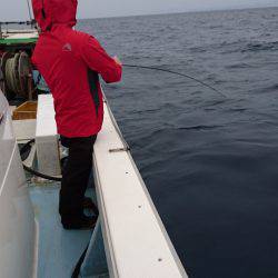 あみや渡船 JIGBOY 釣果