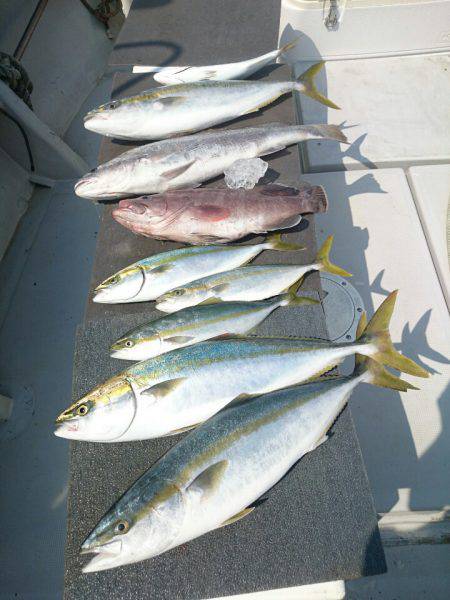 エンペラー 釣果