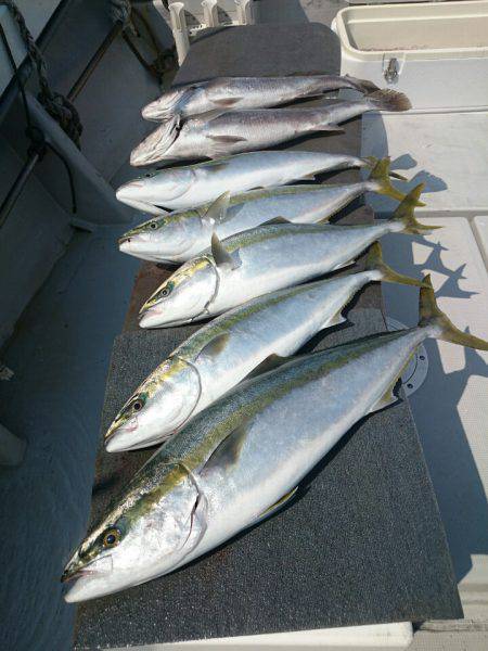 エンペラー 釣果