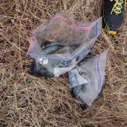 あみや渡船 釣果