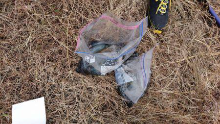 あみや渡船 釣果