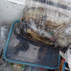 あみや渡船 釣果