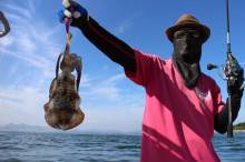 KIM Fishing Guide Service 釣果