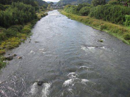 狩野川(狩野川漁業協同組合) 釣果