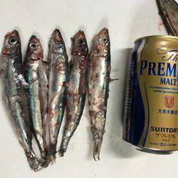 へいみつ丸 釣果