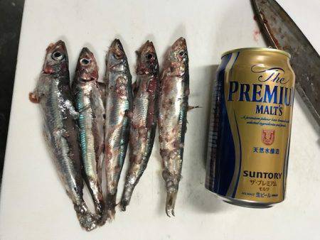 へいみつ丸 釣果