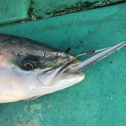 広進丸 釣果