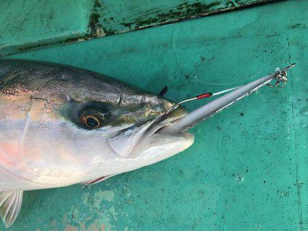 広進丸 釣果