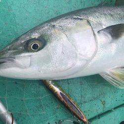 広進丸 釣果