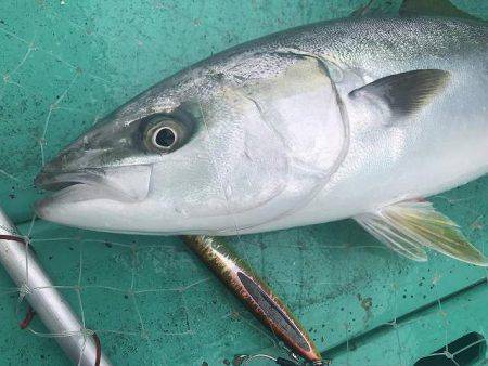広進丸 釣果