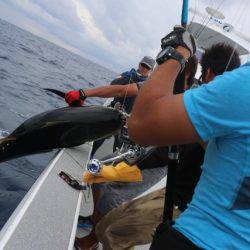 へいみつ丸 釣果