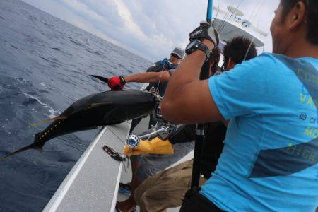 へいみつ丸 釣果