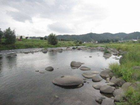 狩野川(狩野川漁業協同組合) 釣果