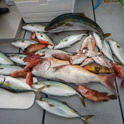 sea boss シーボス 釣果