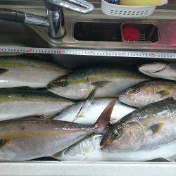 FJガイドサービス 釣果