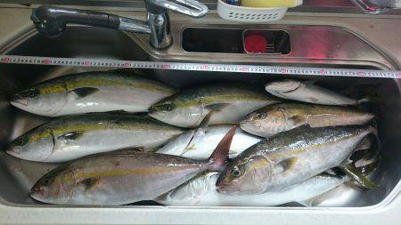 FJガイドサービス 釣果