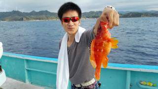 長栄丸(静岡) 釣果