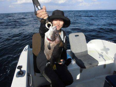 ルアー船マヒマヒ 釣果