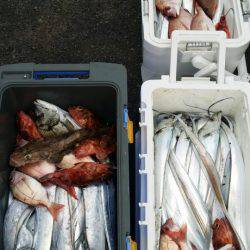 オーフリー 釣果